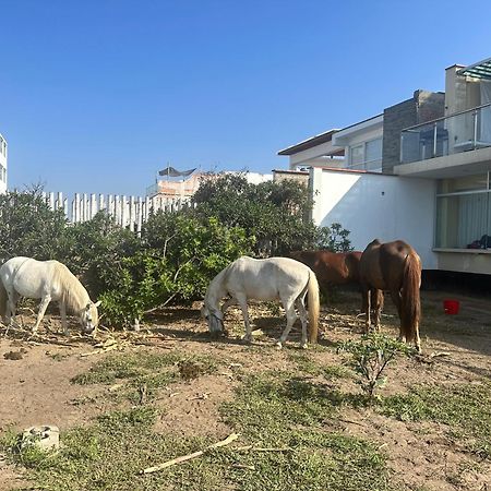 Yolo House Peru Bed & Breakfast อาเซีย ภายนอก รูปภาพ