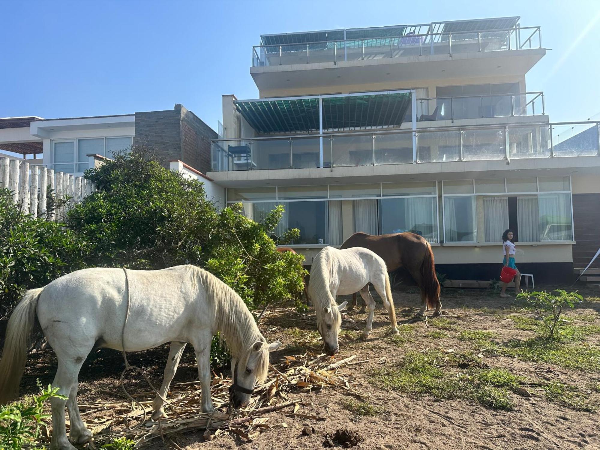 Yolo House Peru Bed & Breakfast อาเซีย ภายนอก รูปภาพ