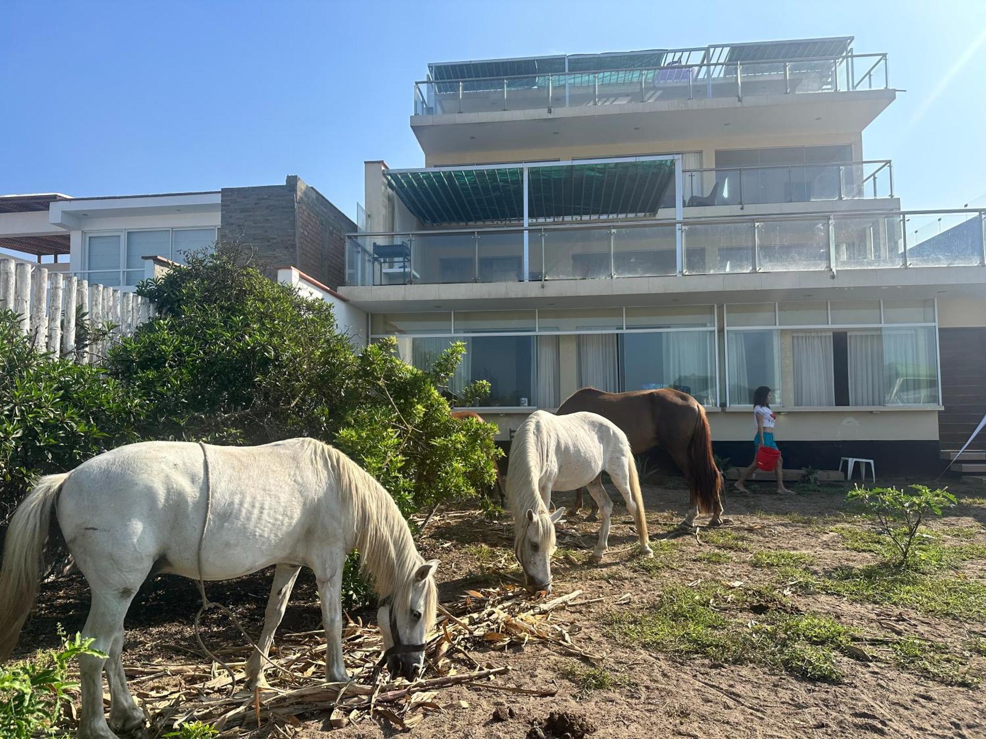 Yolo House Peru Bed & Breakfast อาเซีย ภายนอก รูปภาพ